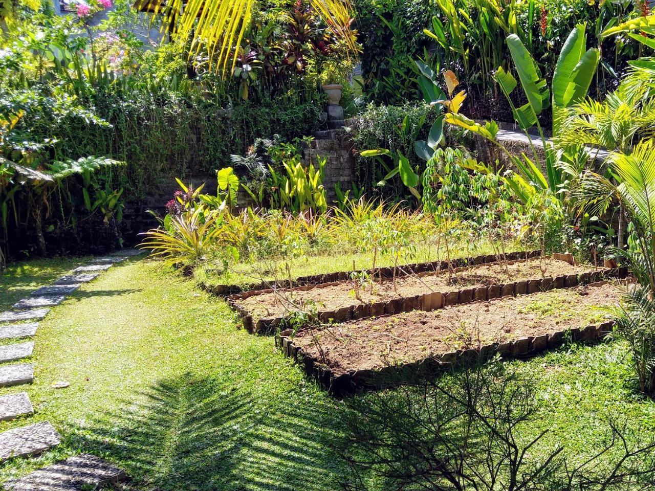 Putu'S Paradise Guesthouse Ubud Exterior foto